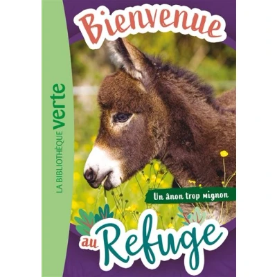 Image de Bienvenue au refuge 10 Un ânon trop mignon