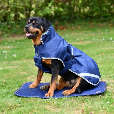 Image de Bucas Recuptex Dog Bed Navy/Orange L