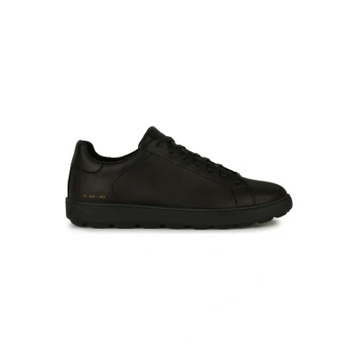 Afbeelding van Geox U Spherica ECUB Sneakers laag, Heren, Maat: 39, Black Leer