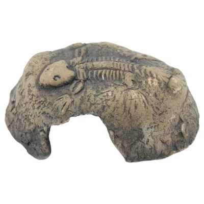 Afbeelding van Ceramicnature Fossil Stone Aquarium Ornament 14x13x6 cm Bruin S