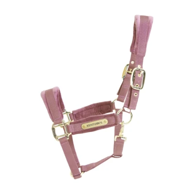 Image de Kentucky Licol velours Rose Vieux Cob
