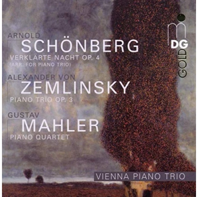 Afbeelding van Wiener Klaviertrio Piano Trio Op. 3/Verklarte Nacht Op (CD)