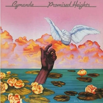 Afbeelding van PROMISED HEIGHTS