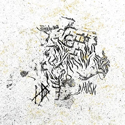 Afbeelding van Hope Drone Husk (LP)