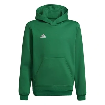 Afbeelding van adidas Entrada 22 Hoodie voor kinderen, sweatshirt, uniseks