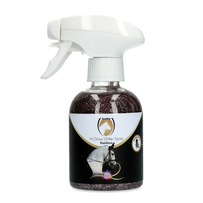 Image de Excellent Spray Scintillant Hi Gloss Arc en Ciel 250 ml