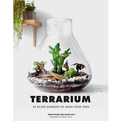 Afbeelding van Terrarium