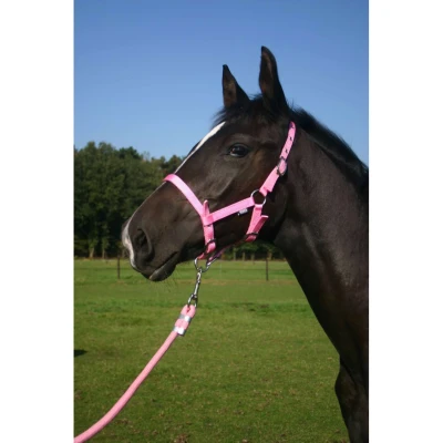 Afbeelding van Horka Halster Veulen Ibiza Foal