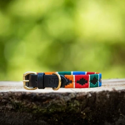 Afbeelding van Leren halsband met lijn Polo maat S MTB Equestrian