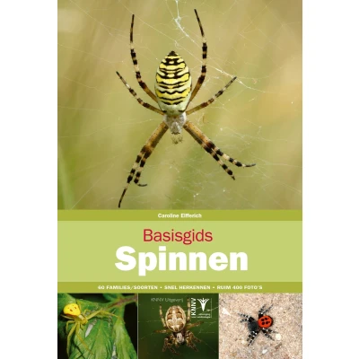 Afbeelding van Basisgids Spinnen