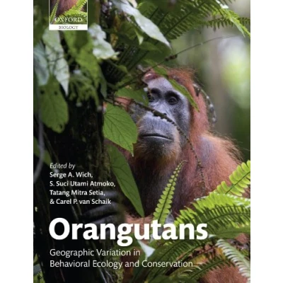 Afbeelding van Orangutans