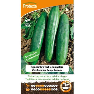 Afbeelding van Protecta Groente zaden: Komkommer Lange Engelse
