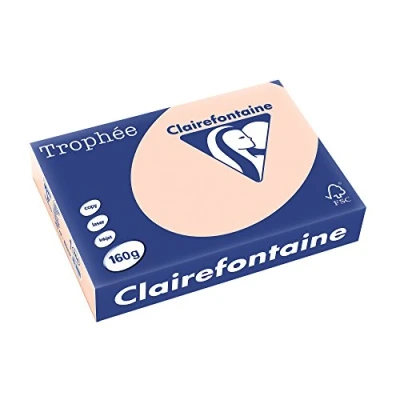 Afbeelding van Clairefontaine Trophée Pastel, gekleurd papier, A4, 160 g, 250 vel, zalm papier
