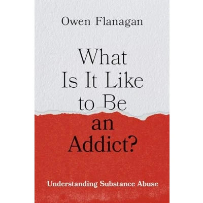 Afbeelding van What Is It Like to Be an Addict?