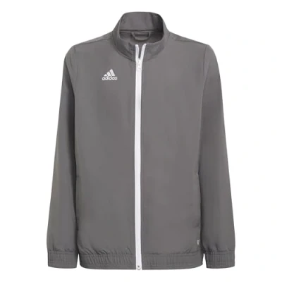 Afbeelding van adidas Entrada 22 Presentation Jacket Youth Grijze 128