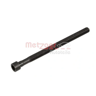 Afbeelding van METZGER 0873030 Schroef, inspuitstukhouder VOLKSWAGEN: Touran I, Golf 5, Passat B6 Variant, AUDI: A3 Sportback, Hatchback
