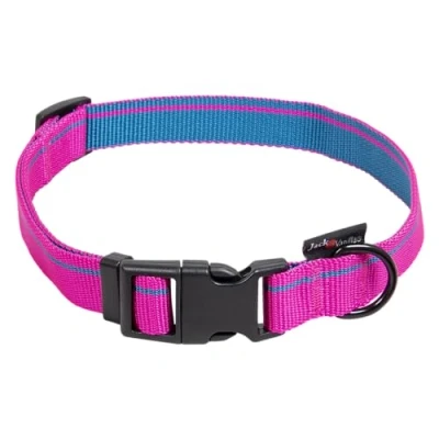 Afbeelding van Jack and Vanilla halsband Roze met kliksluiting Grote honden Stripe XL 39 t/m 65 cm
