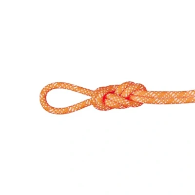 Afbeelding van Mammut Gym Station Classic 10.1 Mm Touw Oranje 200 m