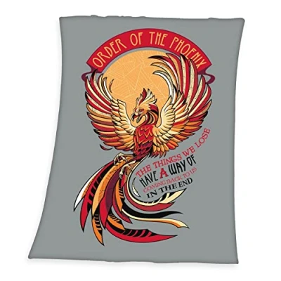 Afbeelding van Herding Harry Potter fleecedeken, 130 x 170 cm, 100% polyester, fleece