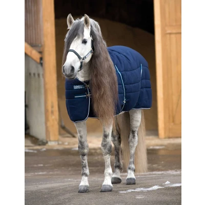 Image de Rambo Stable Heavy 400g