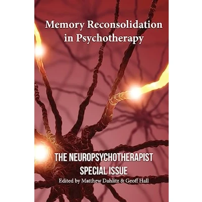 Afbeelding van Memory Reconsolidation in Psychotherapy