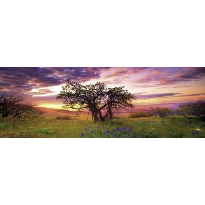 Afbeelding van Puzzel Oak Tree 2000 Panorama Heye 29472