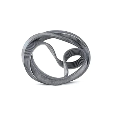 Afbeelding van Skf Poly V riem VKMV 6PK1873