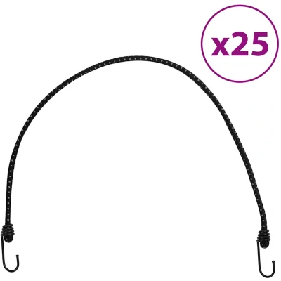 Afbeelding van vidaXL Spanelastieken met reflecterende strips en haken 25 st 88 cm