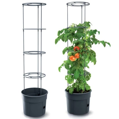 Afbeelding van Tomaten pot met steun ø 39 cm