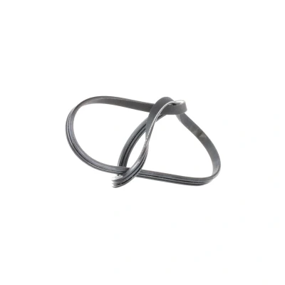 Afbeelding van Bosch Poly V riem 1 987 947 886