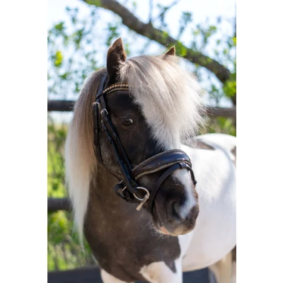 Image de HB Bride Rocky Paillettes MarronVendu par Agradi