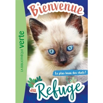 Image de Bienvenue au refuge 09 Le plus beau des chats !