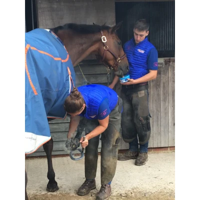 Afbeelding van Horslyx Mobility
