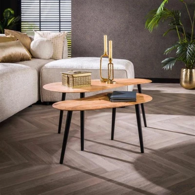 Afbeelding van Hoyz Collection Salontafel Set 2 Niervormig Organisch Massief Acaciahout