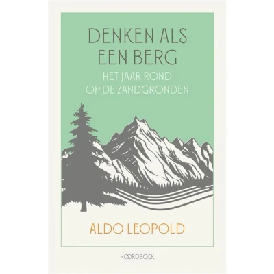 Image de Denken als een berg