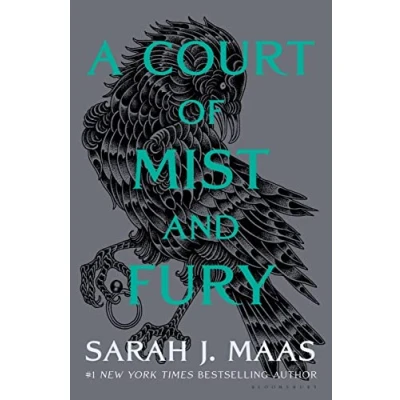 Afbeelding van A Court of Mist and Fury