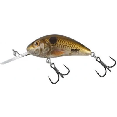 Afbeelding van Salmo Rattlin&#039; Hornet 3,5cm 3,1g Floating 1,0 1,8m Pearl Shad Clear Plug