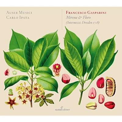 Afbeelding van Auser Musici &amp; Carlo Ipata Mirena Floro (CD)