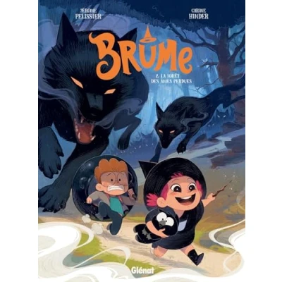 Afbeelding van BRUME,02:LA FORET DES AMES PERDUES