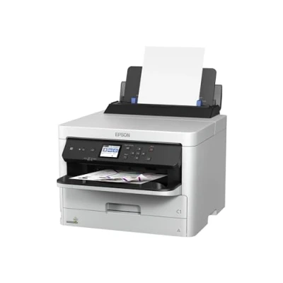 Afbeelding van Printer Epson C11CG79401