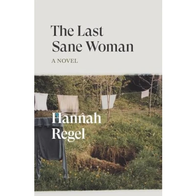 Afbeelding van Verso Fiction The Last Sane Woman
