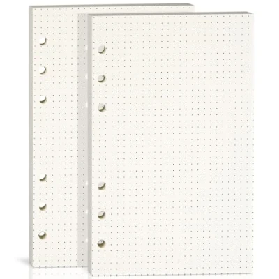 Afbeelding van 2 verpakkingen A6 papier met puntraster, 100 g/m² dik, 6 gaats geperforeerd, papiervulling voor agenda/ordners/organizer, 80 vellen (160 pagina&#039;s), 17 x 10,5 cm, beige