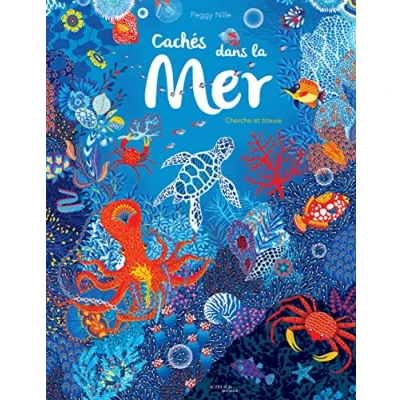 Afbeelding van Caches dans la mer