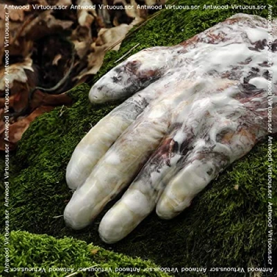 Afbeelding van Antwood Virtuous Scr (2 LP)