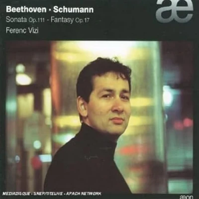 Afbeelding van Ferenc Vizi Son.32 / Fantasie Op.17 (CD)