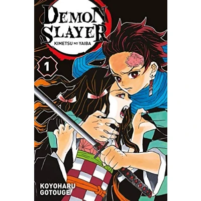 Afbeelding van DEMON SLAYER Tome 1
