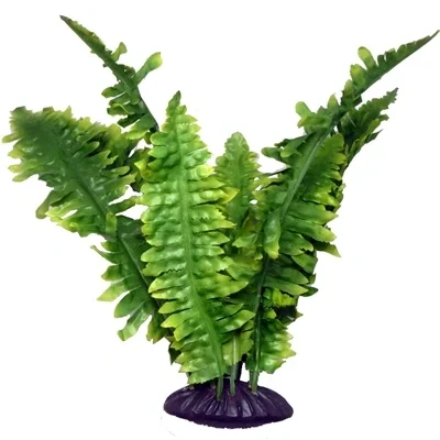 Afbeelding van Komodo Boston Varen 25 CM