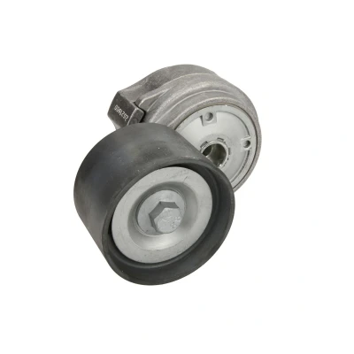 Afbeelding van DAYCO APV1093 Riemspanner