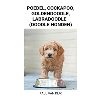 Afbeelding van Poedel, Cockapoo, Goldendoodle, Labradoodle (Doodle Honden)