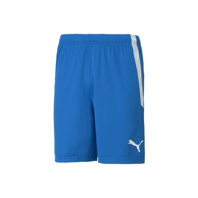 Afbeelding van puma Teamliga Football Shorts, Heren, Maat: Large, Peacoat white